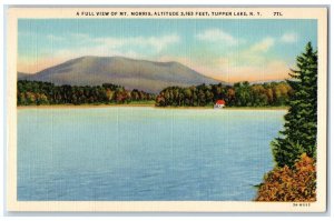 c1930's Full View Of Mt. Morris House Scene Tupper Lake New York NY Postcard 