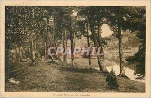 Old Postcard The Beautiful Shores of Lake Chambon