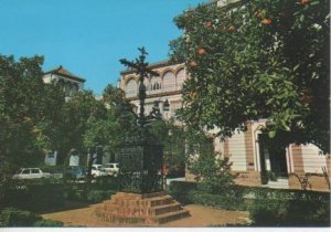 Postal E02357: Plaza de Santa Cruz, Sevilla