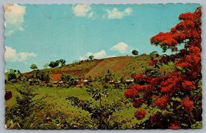 Postcard Santo Domingo Dominican Republic c1964 Landscape Farms Hills Scenic