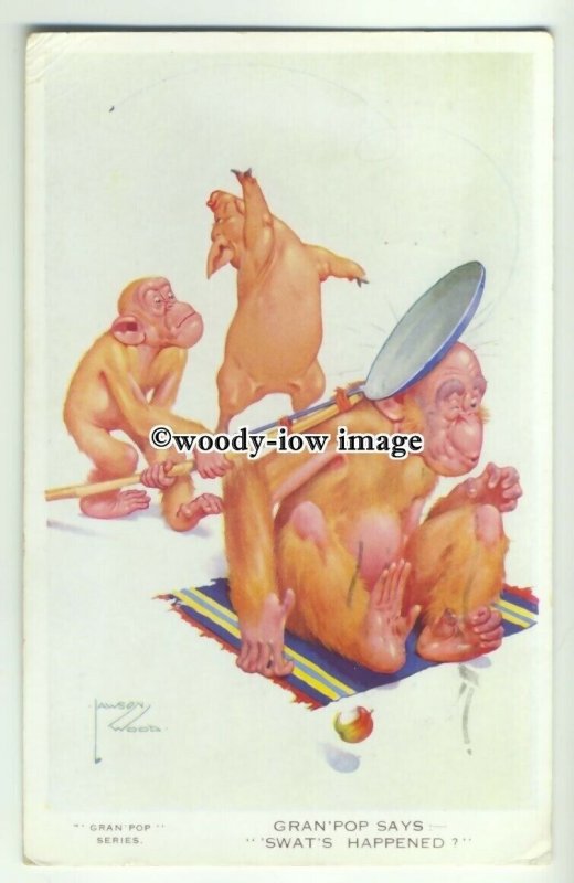 su2517 - Gran'Pop says -  Swat's Happened Apes & Pig - Lawson Wood - postcard