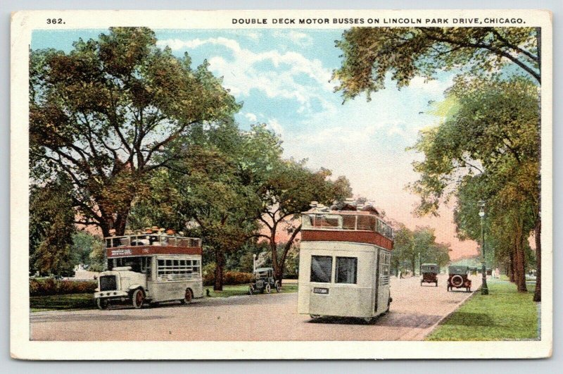 Chicago Illinois~Lincoln Park Drive~Double Deck Motor Buses Tour Park~1920s 