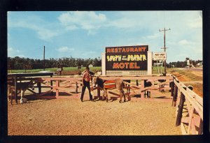 Dillon, South Carolina/SC Postcard, Pedro's Burros, South Of The Border