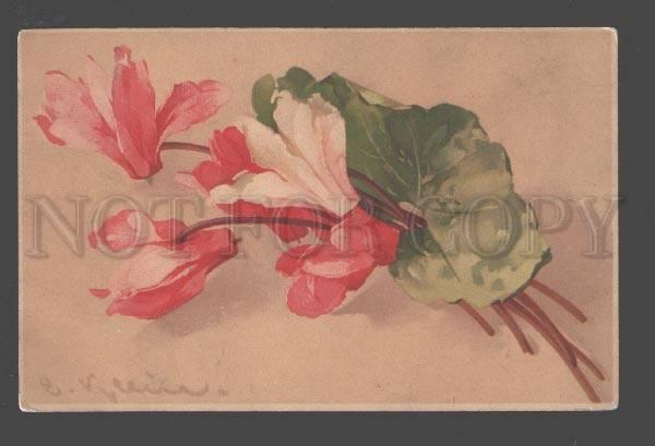 094818 CYCLAMEN Pink Flowers C. KLEIN old Meissner Buch 1514
