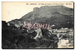 Old Postcard Monaco The Prince's Palace and the Dog Tete