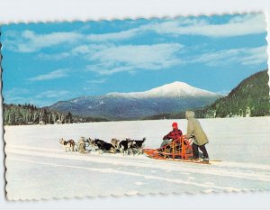 Postcard Dog Team, Lake Placid, New York