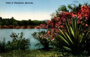 Bermuda Scene At Fairylands