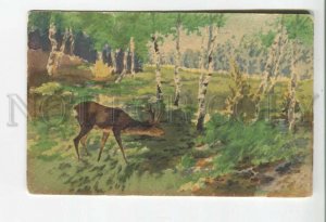478146 WATERCOLOR Hand Painted HUNT Deer in Forest Vintage postcard