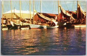 Fishing Boats at Market Wharf Nassau Bahamas Caribbean Island Postcard