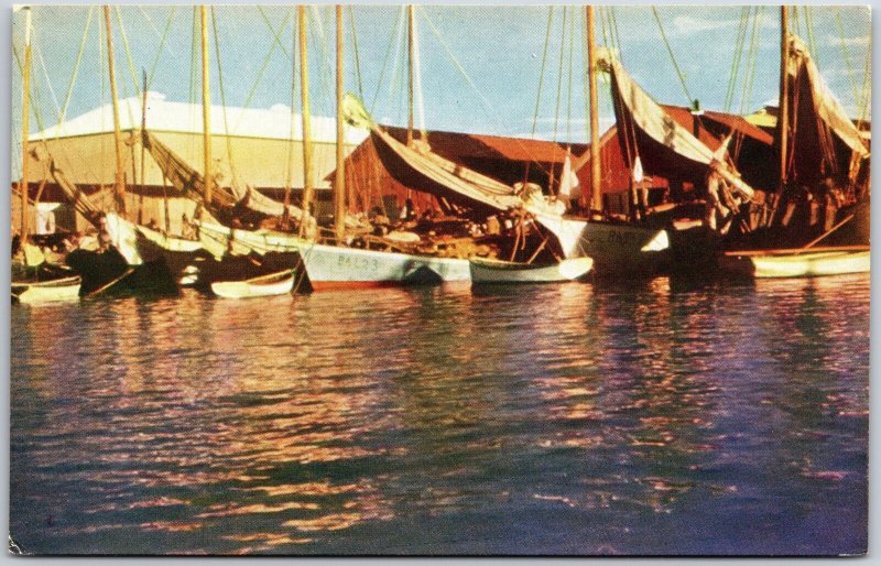 Fishing Boats at Market Wharf Nassau Bahamas Caribbean Island Postcard