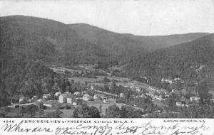 Phoenicia New York Birdseye View Of City Antique Postcard K72084