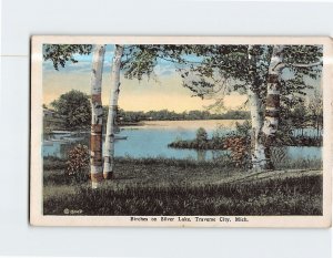 Postcard Birches on Silver Lake Traverse City Michigan USA