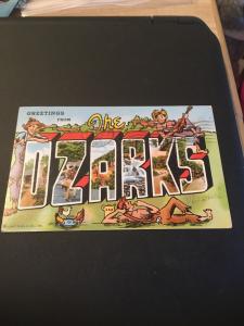 Vtg Postcard: Greetings from the Ozarks