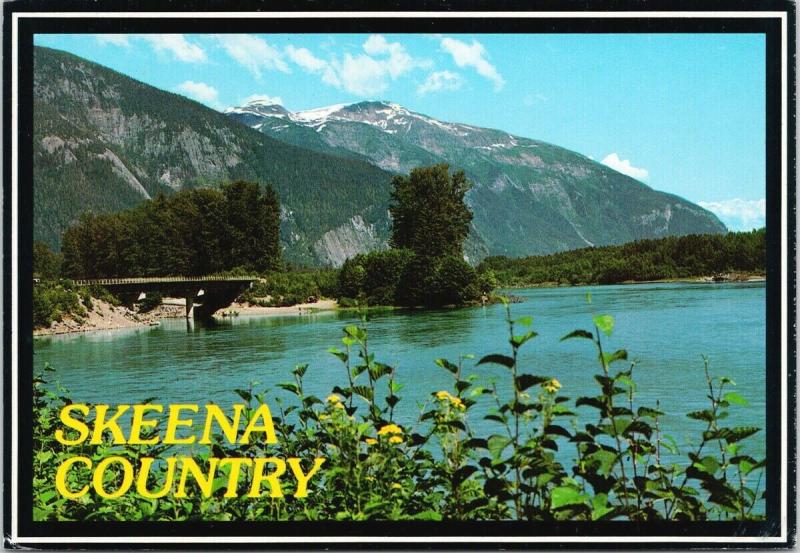 Skeena River BC British Columbia Vintage Postcard D59  