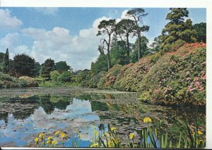 Yorkshire Postcard - Sheffield Park - Ref 20639A