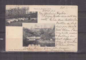 NEW YORK, BROOKLYN, PROSPECT PARK VIEWS, 1904 ppc., used, stamp removed.