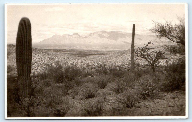 RPPC ARIZONA DESERT? ~ Clear Photo of CACTUS & MOUNTAINS c1940s Postcard