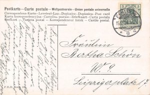 B194 Landscape 1908 Temple Swans on Lake vintage postcard