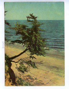 239069 GERMANY Grusse OSTSEE old photo postcard