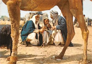 Market Day Beer Sheba Israel 1968 