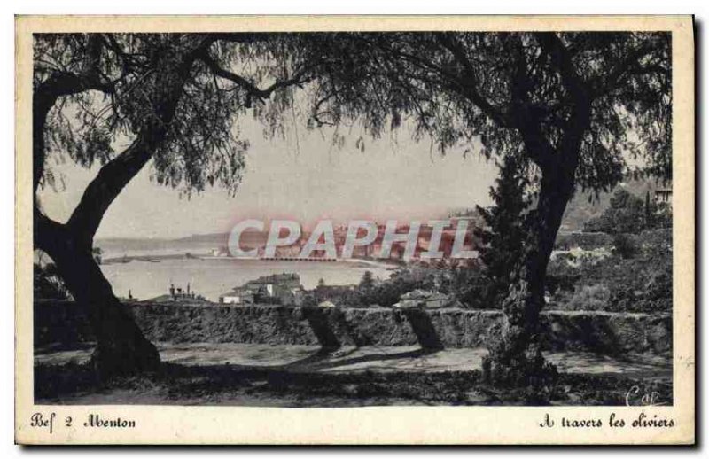Old Postcard Menton Through the Olive Trees