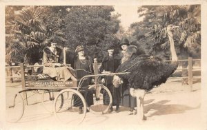 RPPC WAGON RIDE OSTRICH FARM LOS ANGELES CALIFORNIA REAL PHOTO POSTCARD (1920s)