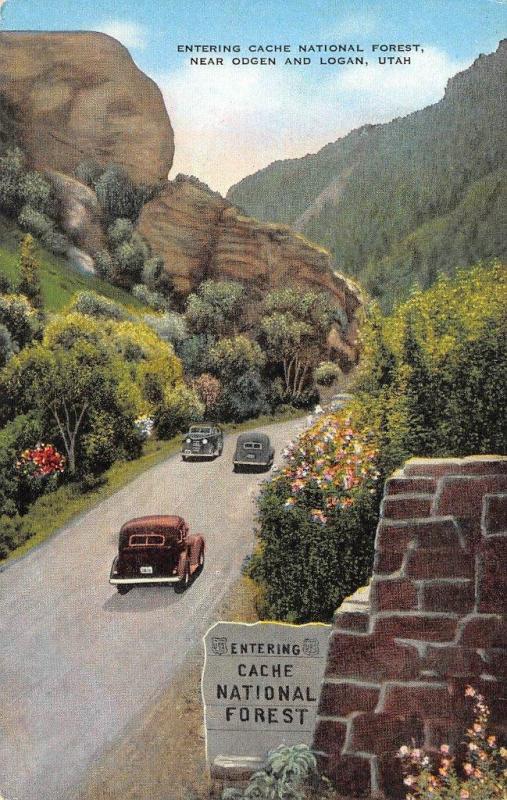 UT, Utah     CARS ENTERING CACHE NATIONAL FOREST     c1940's Linen Postcard