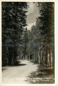 1930s Kaibab Arizona Highway National Forest Frasher RPPC Postcard 25-11436