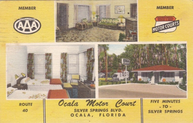 Florida Ocala Motor Court Silver Springs Boulevard 1953 sk3307