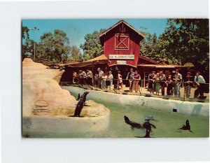 M-164995 The Seal Pool and Old MacDonald's Farm Knott's Berry Farm Ghost Town CA