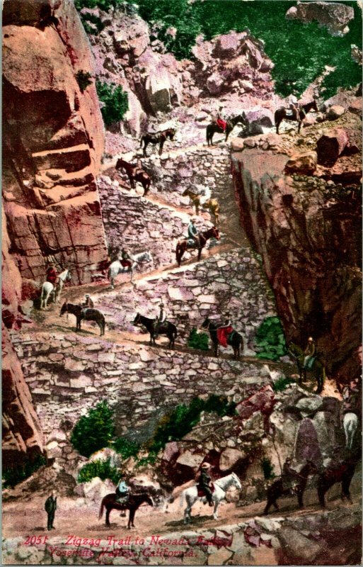 Vtg Postcard 1910s Yosemite California CA Zigzags of Yosemite Trail Burro Ride