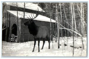 c1940's Elk Diamond Point Winter Bemidji Minnesota MN RPPC Photo Postcard