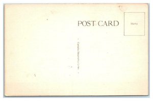 Canada Steamship Lines  SS CAYUGA Steamer  c1940s  Postcard