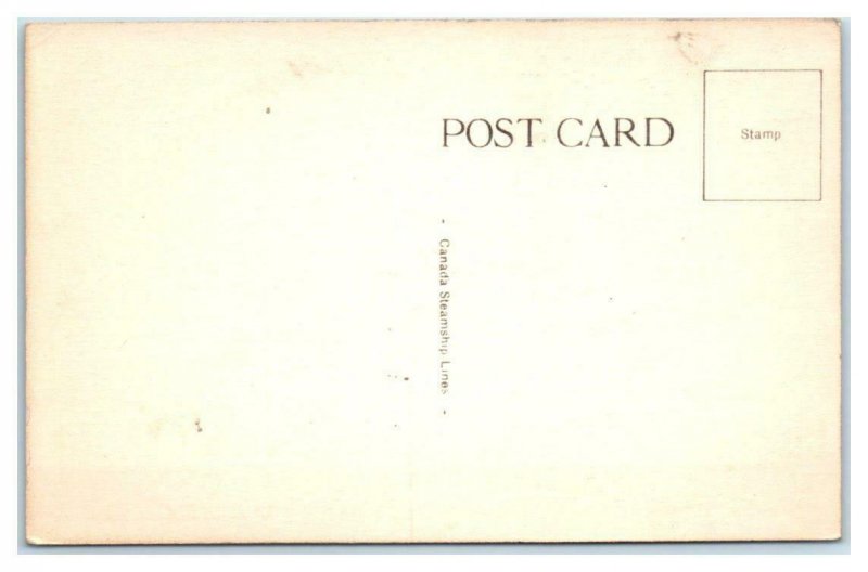 Canada Steamship Lines  SS CAYUGA Steamer  c1940s  Postcard