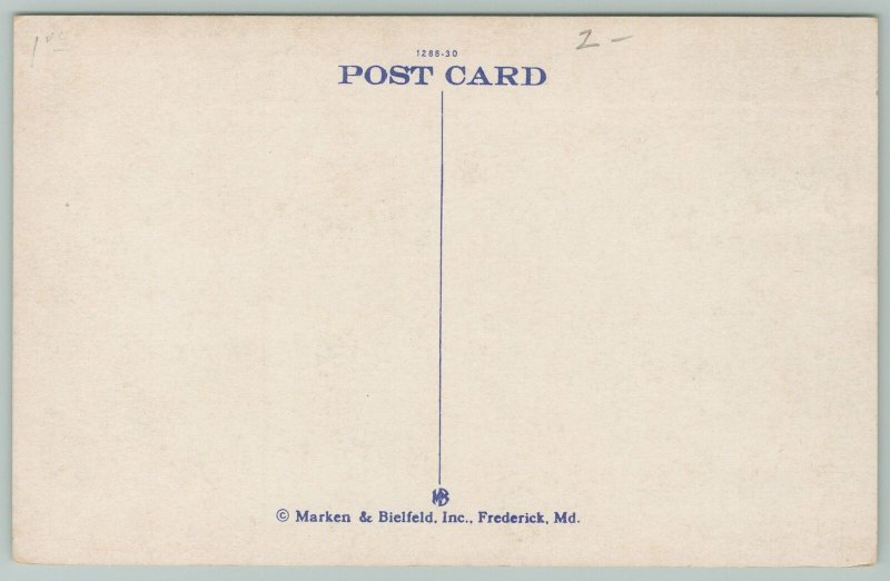 Winchester Virginia~Post Office~1920s Postcard