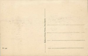 lebanon, Chameaux avec leur Conducteur (1920s) Postcard