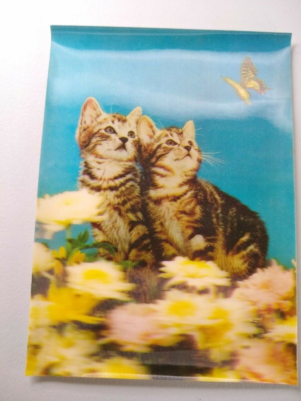 M-22581 Two Cats and a Butterfly