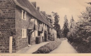 The Avenue Flore Northamptonshire Postcard