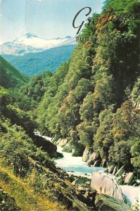 Lot101 haast river westland mount brewster punakaiki new zealand