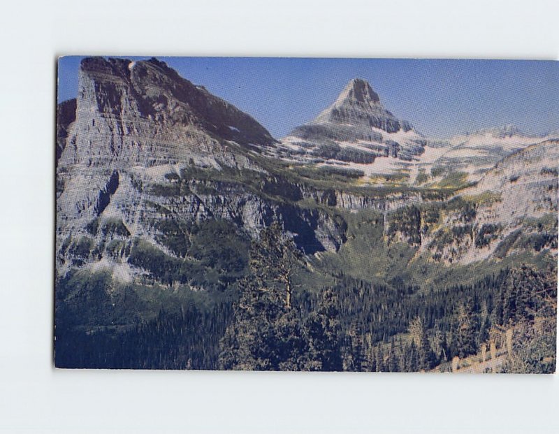 Postcard Hanging Gardens Glacier National Park Montana USA