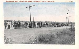 Pymatuning Lake Pennsylvania watching wildlife at Spillway antique pc ZA440126