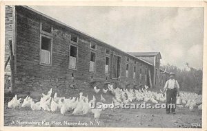 Narrowsburg Egg Plant - New York