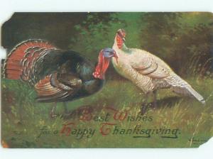 Divided-Back THANKSGIVING SCENE Great Postcard AA0556