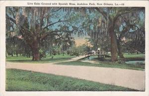 Louisiana New Orleans Live Oaks Covered With Spanish Moss 