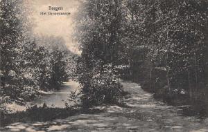 Bergen Netherlands Het Droomlaantje Scenic View Antique Postcard J74400