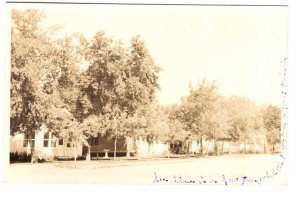 Real Photo Canada, Trees in Saskatchewan Town