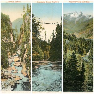 Canada lot of 12 topographical and scenic postcards