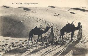 Algeria BISKRA - Passage des Dunes