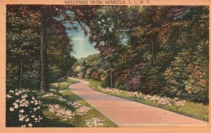 Vintage Postcard 1948 View The Road Greetings From Mineola Long Island New York