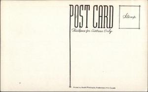 Dumfries New Brunswick Moonlight Inn & Cabins Postcard